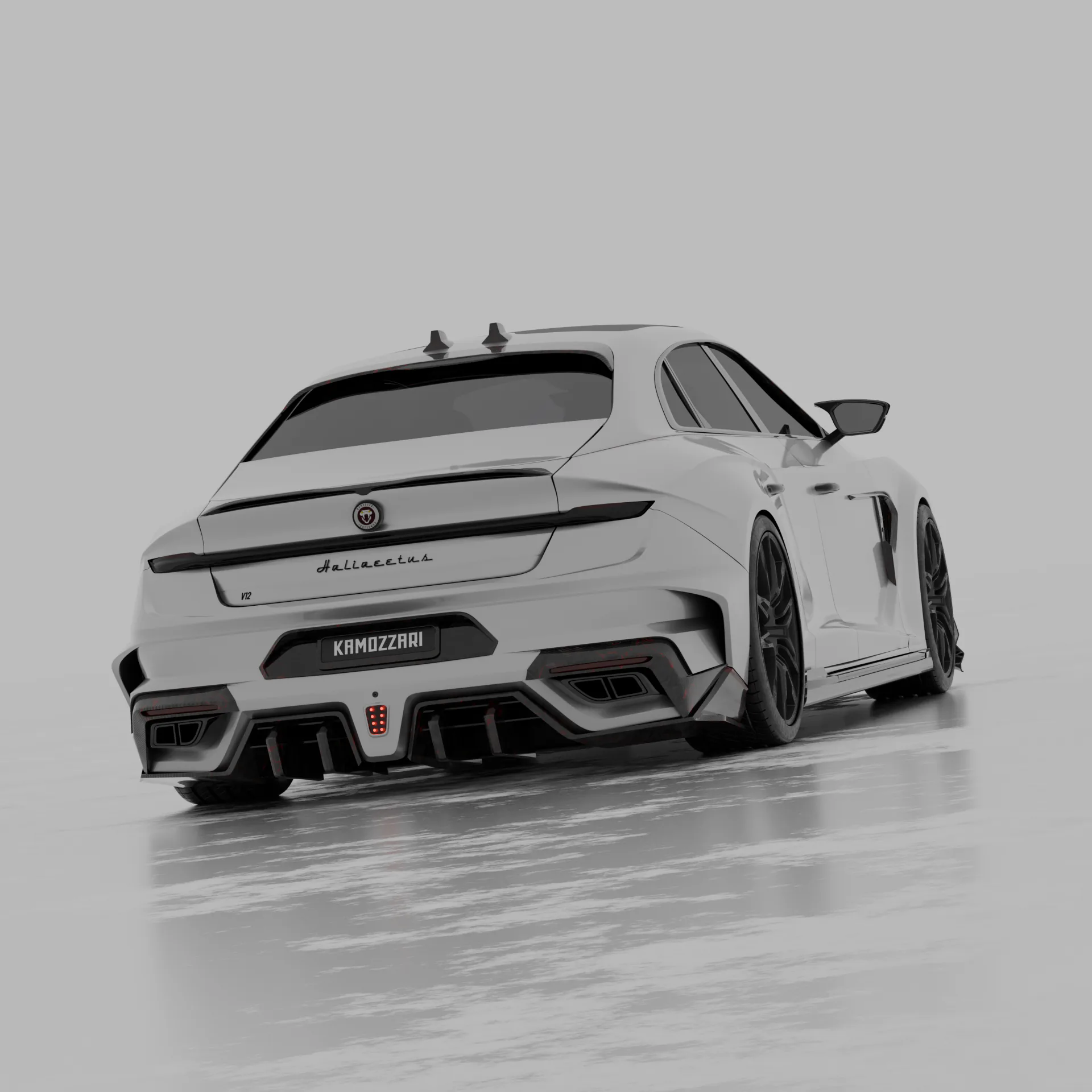 AMB Halliaetus render 8