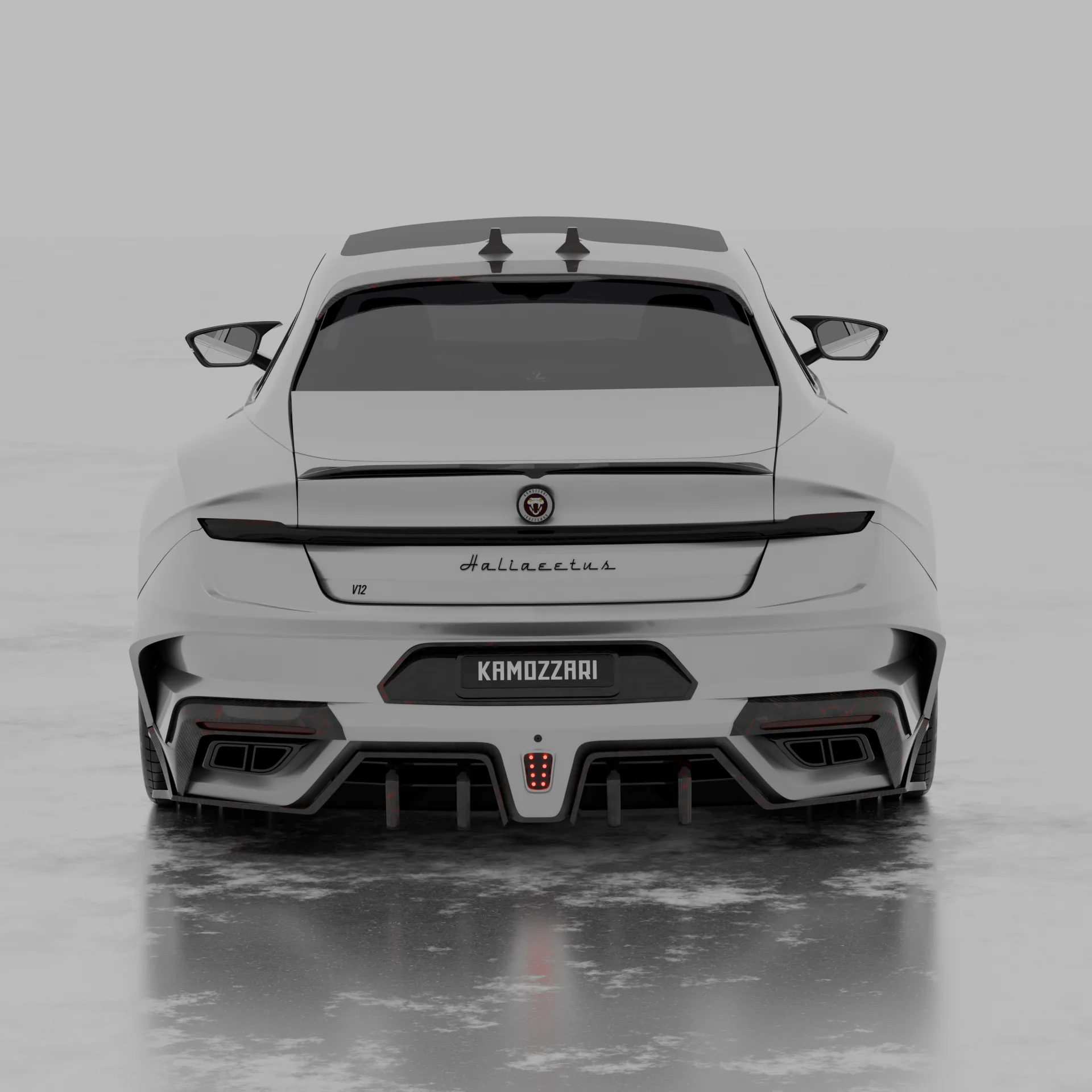 AMB Halliaetus render 11