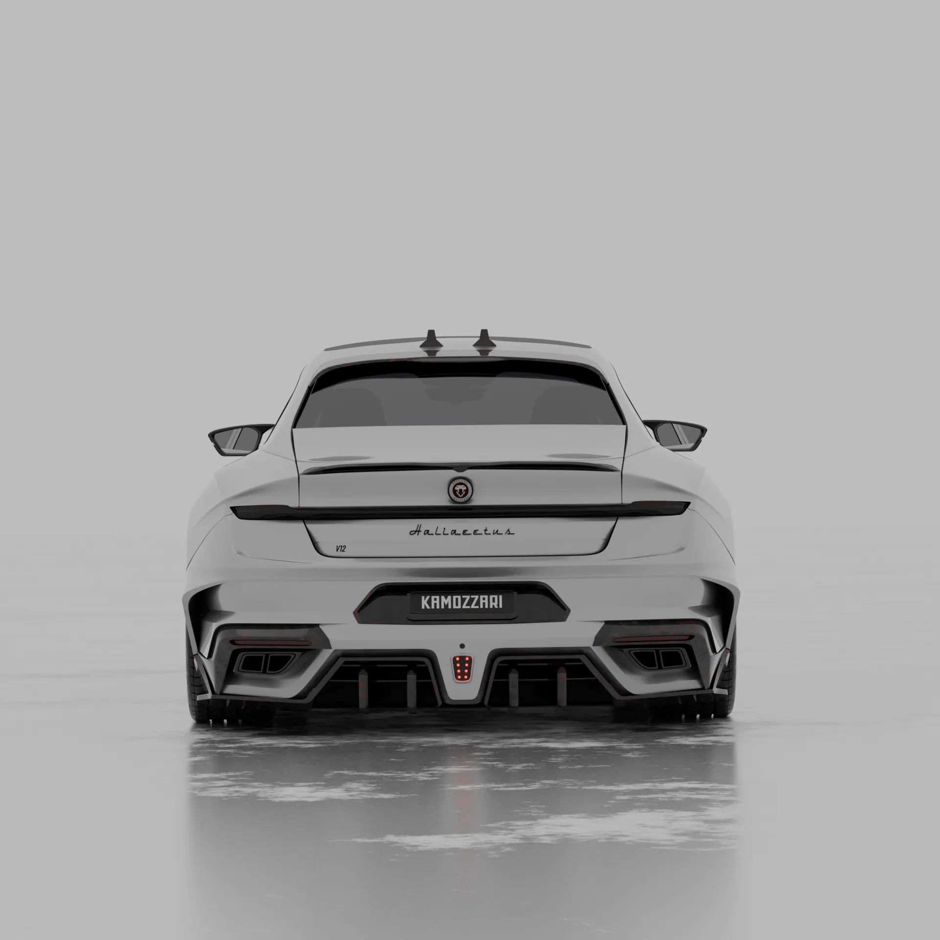 AMB Halliaetus render 12